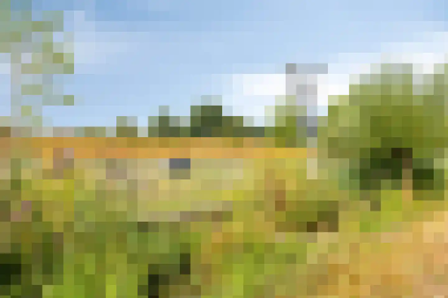 Dudokhof 50 Tilburg thumbnail 45