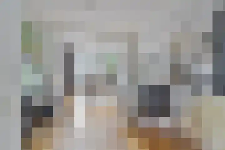 Dudokhof 61 Tilburg thumbnail 11