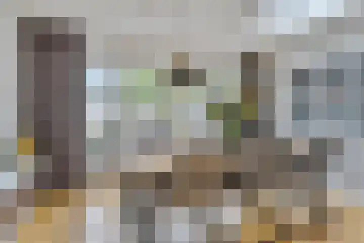 Dudokhof 61 Tilburg thumbnail 17