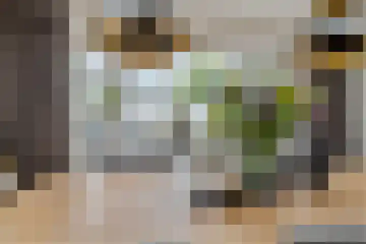 Dudokhof 61 Tilburg thumbnail 19