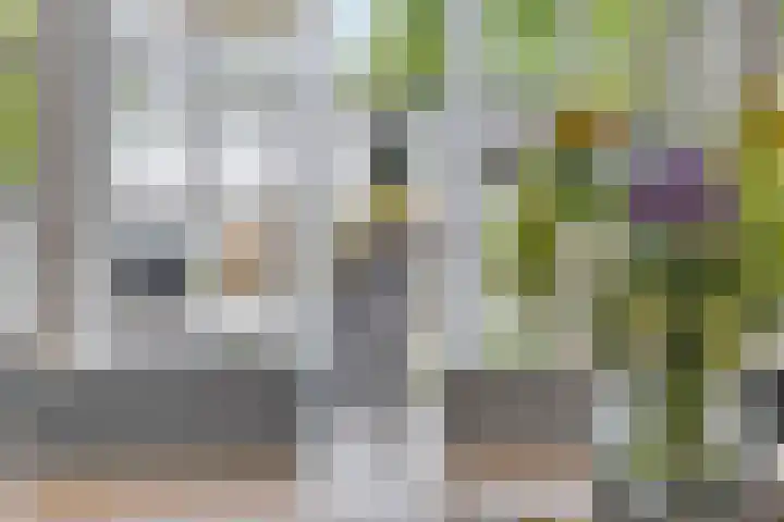 Dudokhof 61 Tilburg thumbnail 20