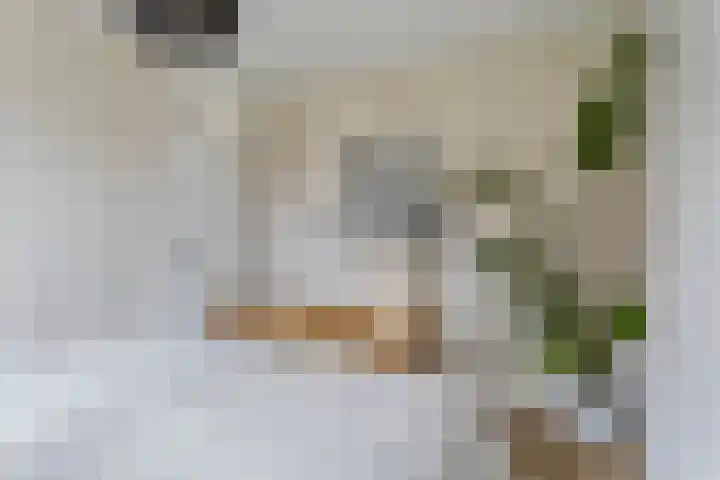 Dudokhof 61 Tilburg thumbnail 23