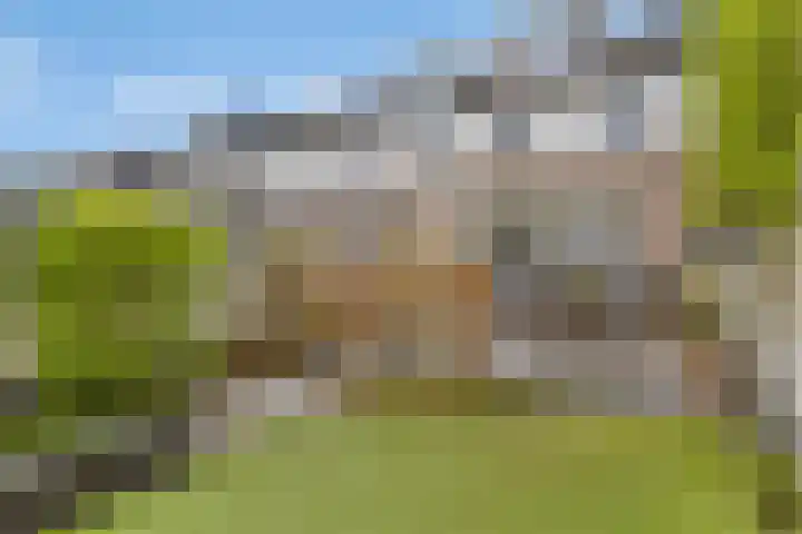 Dudokhof 61 Tilburg thumbnail 41