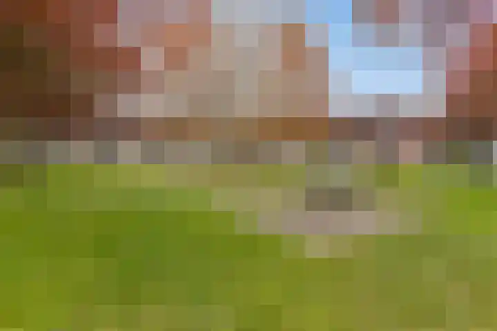 Dudokhof 61 Tilburg thumbnail 48