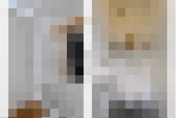 Dudokhof 61 Tilburg thumbnail 5