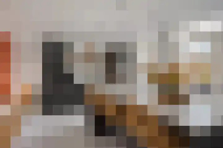 Dudokhof 84 Tilburg thumbnail 11