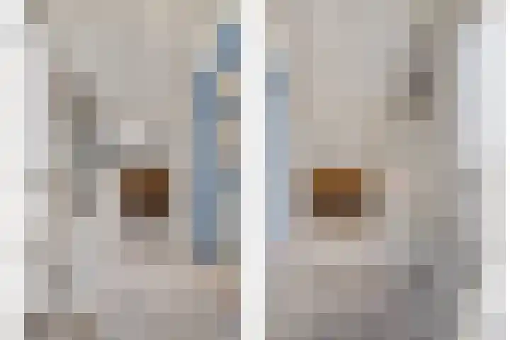 Dudokhof 84 Tilburg thumbnail 37
