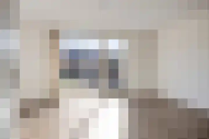 Dudoklaan 10 Doetinchem thumbnail 10