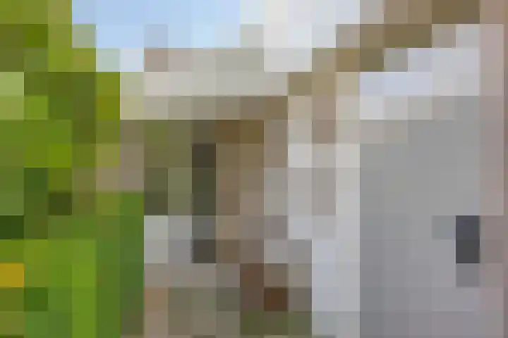 Dudoklaan 44 Heerlen thumbnail 5