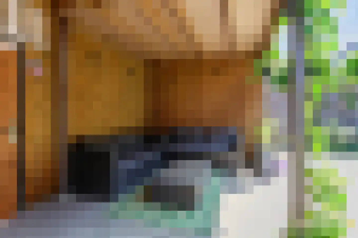 Dudokplantsoen 12 Bergschenhoek thumbnail 12