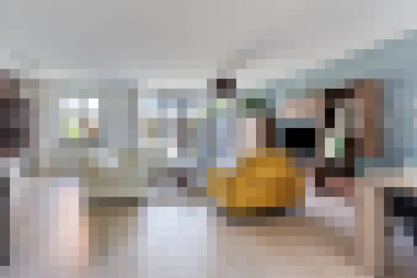 Dudokplantsoen 12 Bergschenhoek thumbnail 5