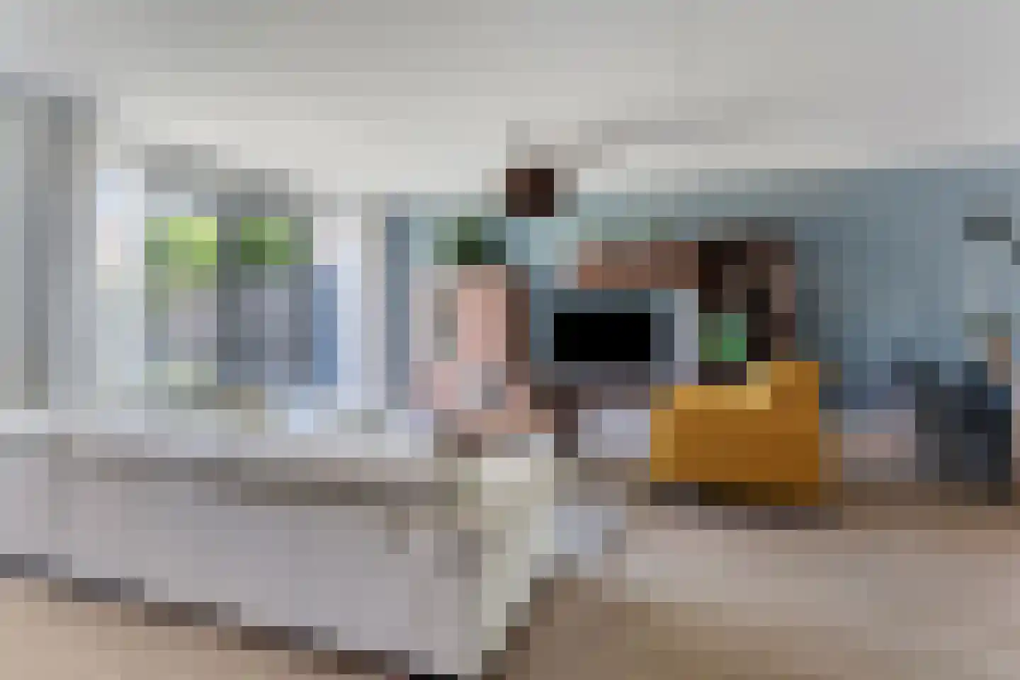 Dudokplantsoen 12 Bergschenhoek thumbnail 9