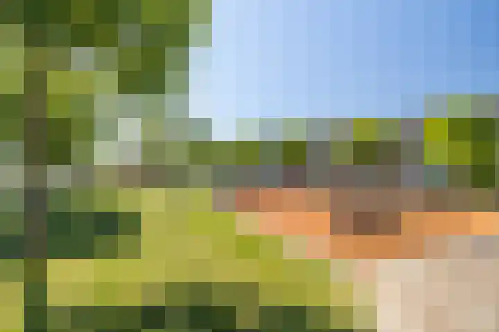 Dudokplantsoen 16 Bergschenhoek thumbnail 27