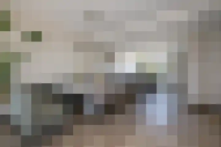 Dudokplantsoen 16 Bergschenhoek thumbnail 4