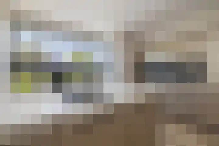 Dudokplantsoen 16 Bergschenhoek thumbnail 6