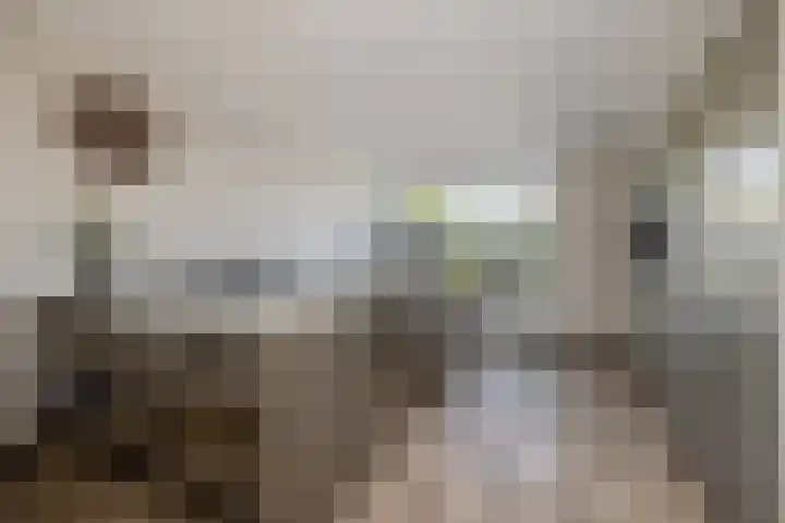 Dudokplantsoen 16 Bergschenhoek thumbnail 8