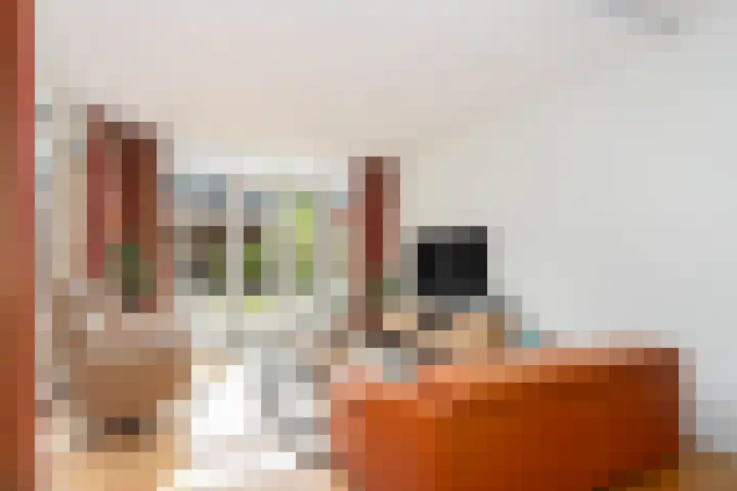 Dudoksingel 102 Utrecht thumbnail 6