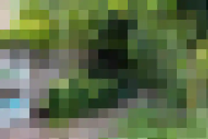 Dudoksingel 23 Utrecht thumbnail 22