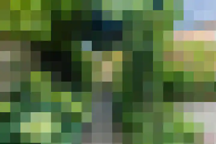 Dudoksingel 23 Utrecht thumbnail 27