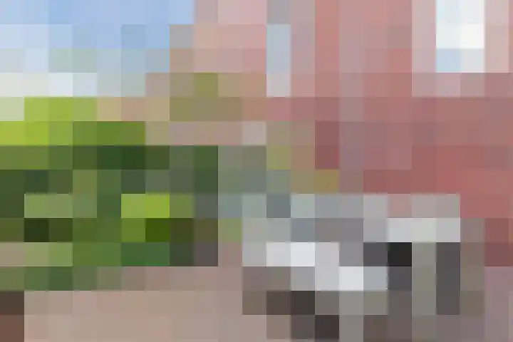 Dudoksingel 23 Utrecht thumbnail 28