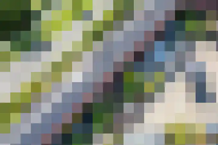 Dudoksingel 23 Utrecht thumbnail 30