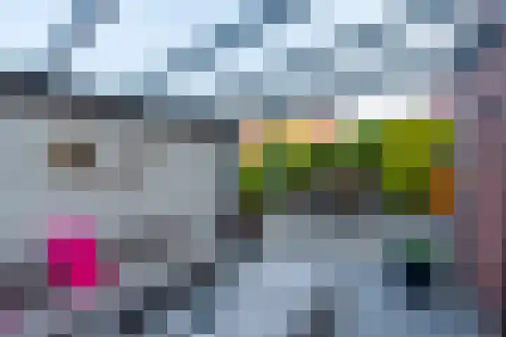 Dudoksingel 25 Utrecht thumbnail 26