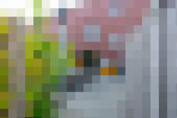 Dudoksingel 25 Utrecht thumbnail 31