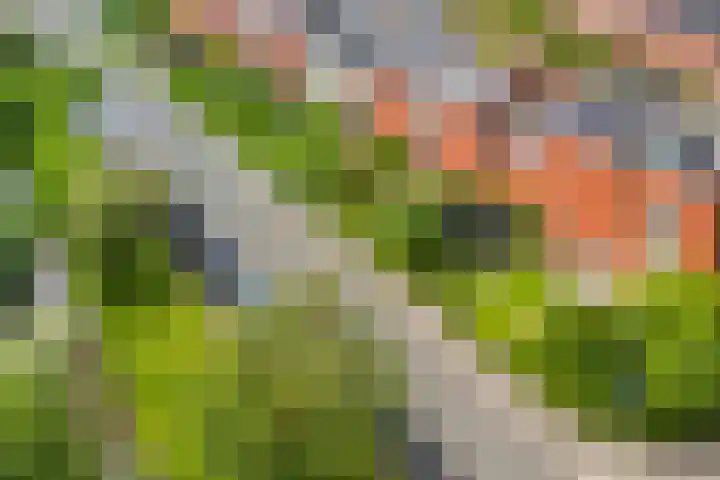 Dudoksingel 3 Utrecht thumbnail 30