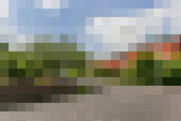 Dudoksingel 3 Utrecht thumbnail 31