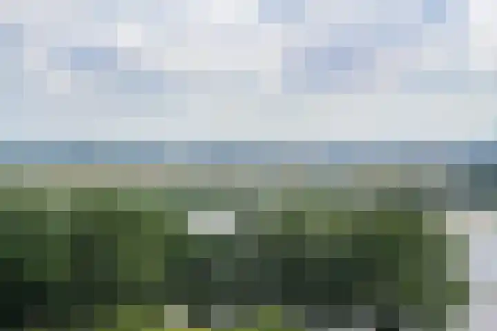 Dudokstraat 112 Hoofddorp thumbnail 6