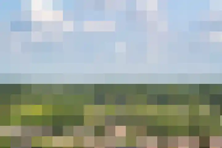 Dudokstraat 112 Hoofddorp thumbnail 7