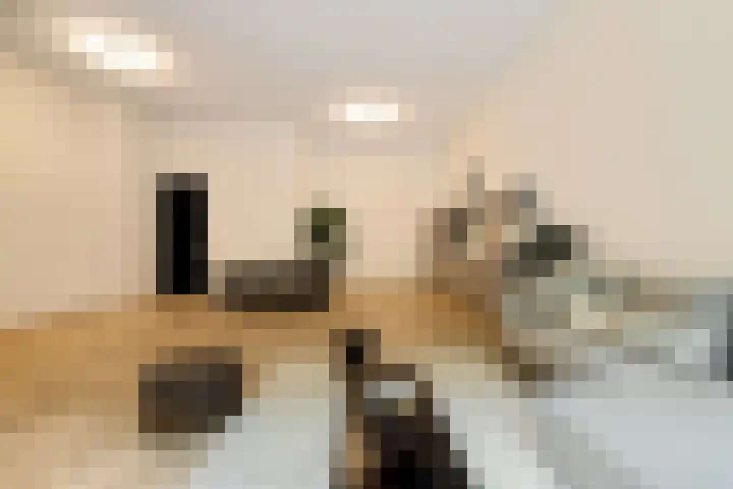 Dudokstraat 116 Hoofddorp thumbnail 18