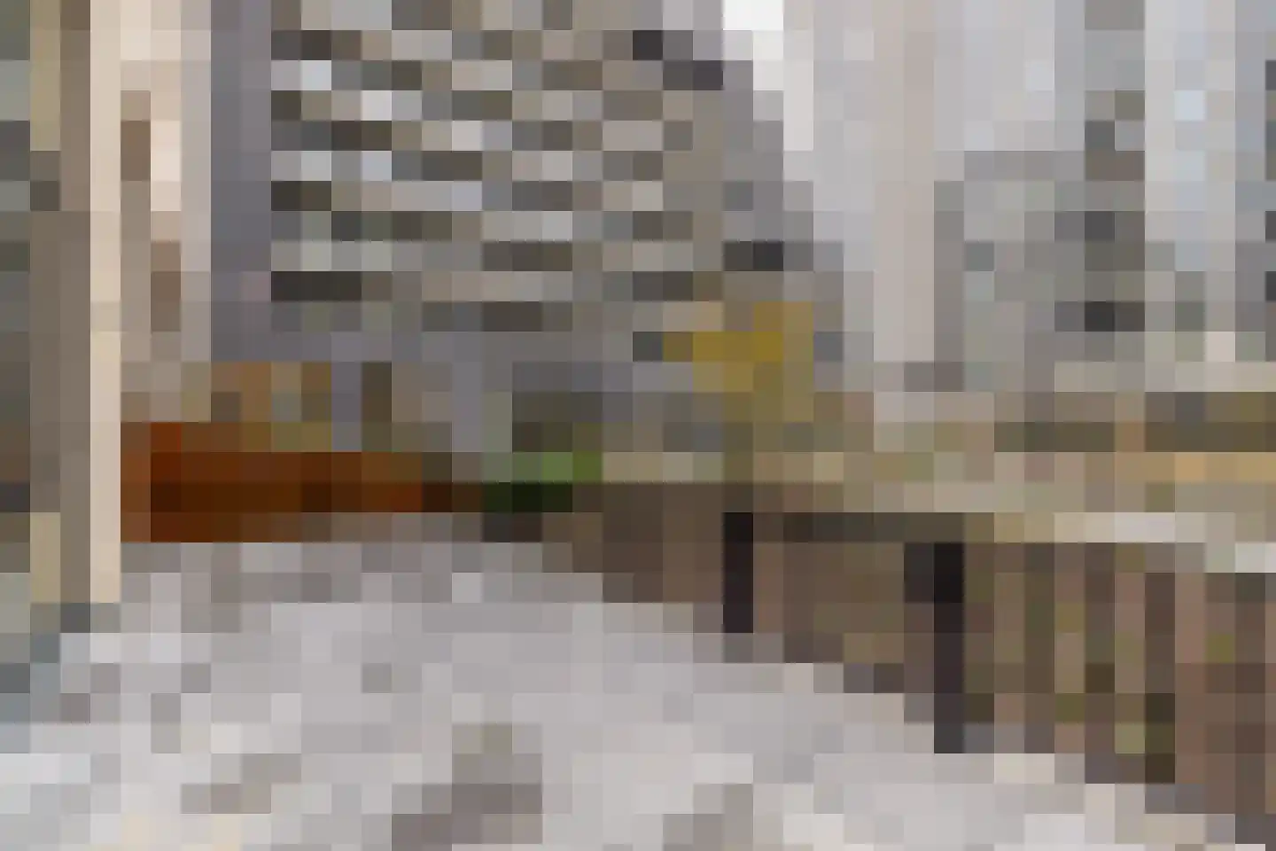 Dudokstraat 116 Hoofddorp thumbnail 44