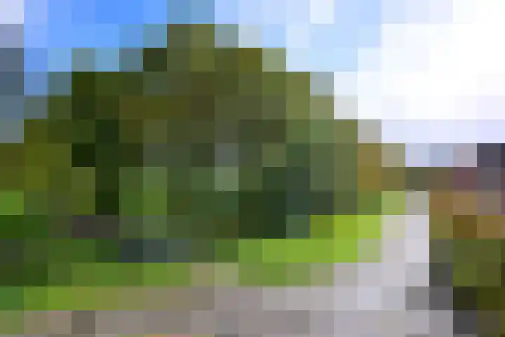 Dudokstraat 14 Deventer thumbnail 22