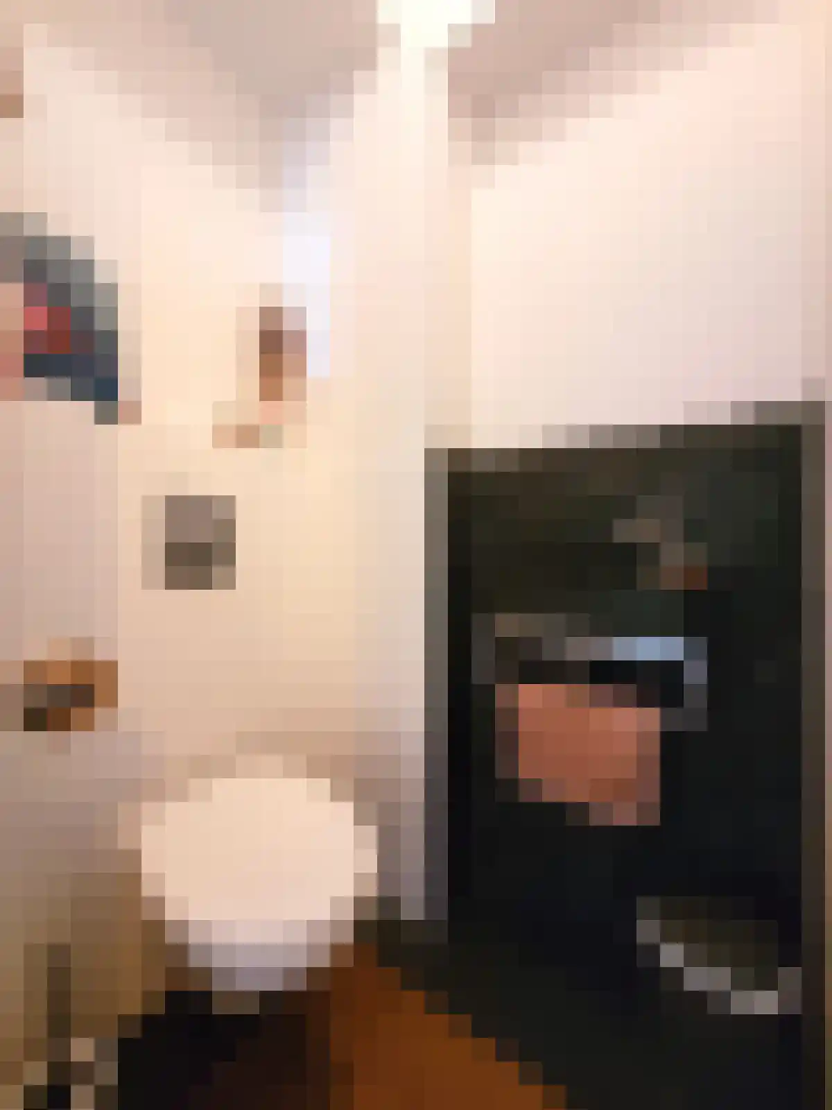 Dudokstraat 15 Son en Breugel thumbnail 4