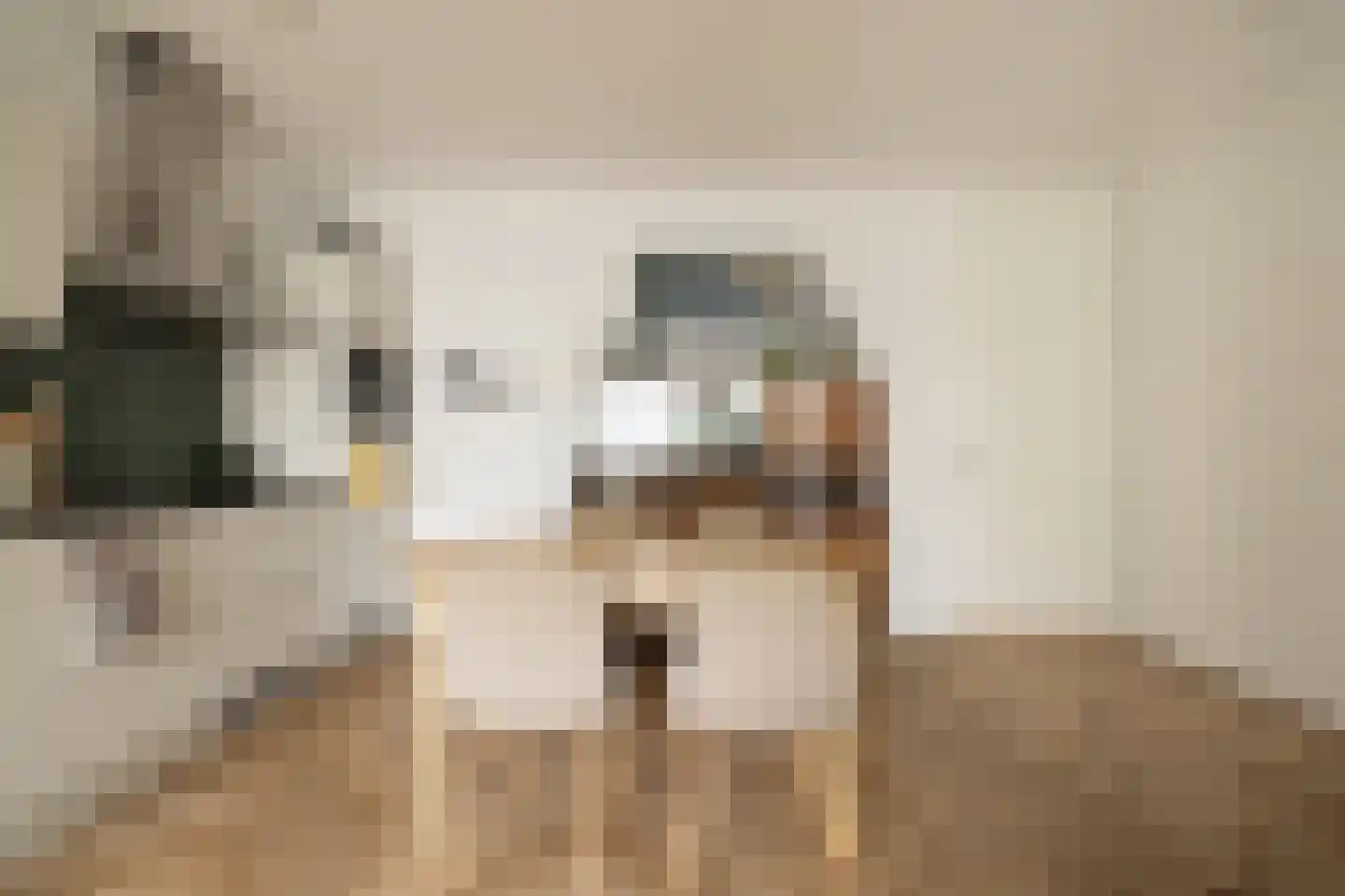Dudokstraat 158 Hoofddorp thumbnail 11
