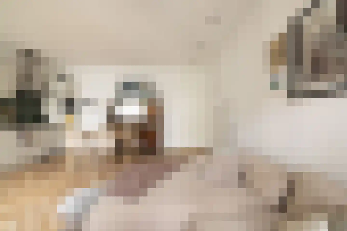 Dudokstraat 158 Hoofddorp thumbnail 18