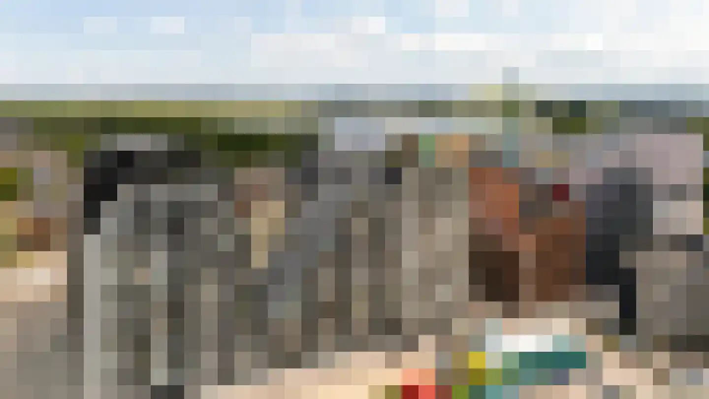 Dudokstraat 158 Hoofddorp thumbnail 4