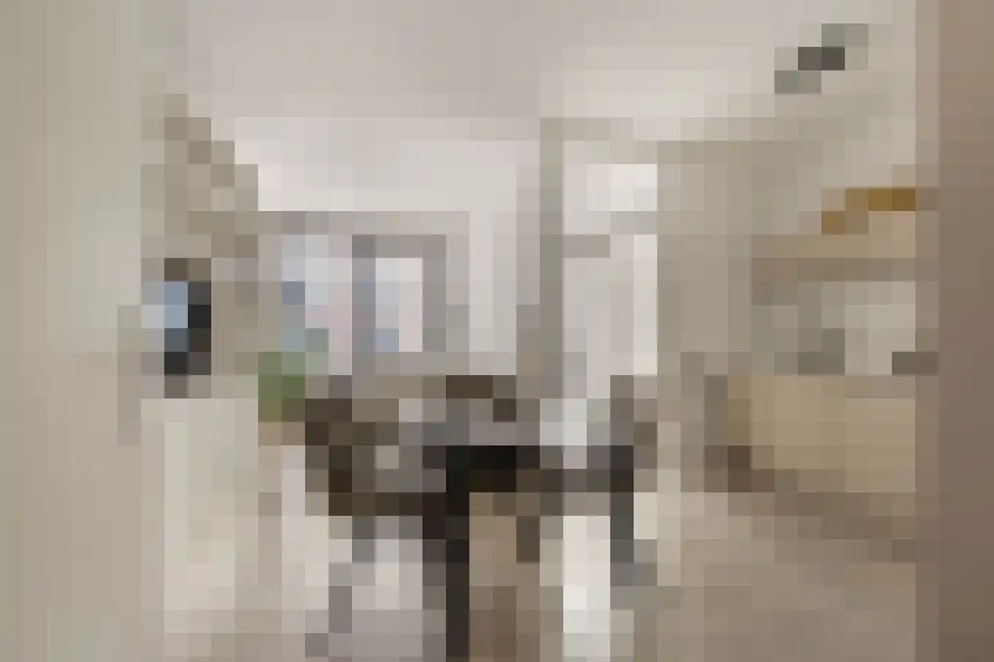 Dudokstraat 166 Hoofddorp thumbnail 10