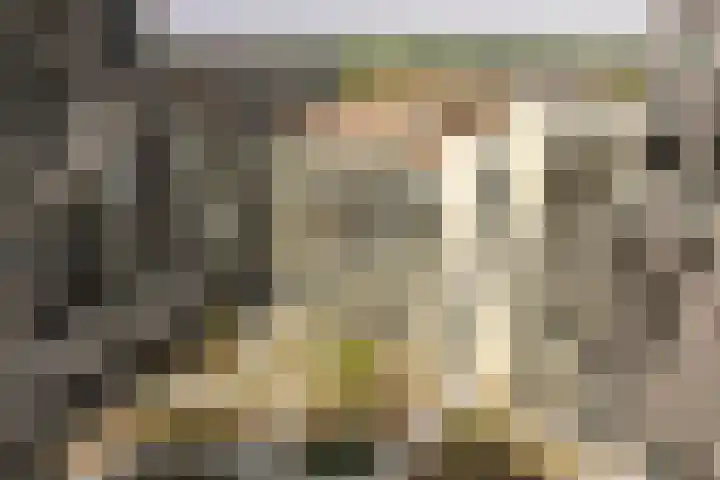 Dudokstraat 206 Hoofddorp thumbnail 15