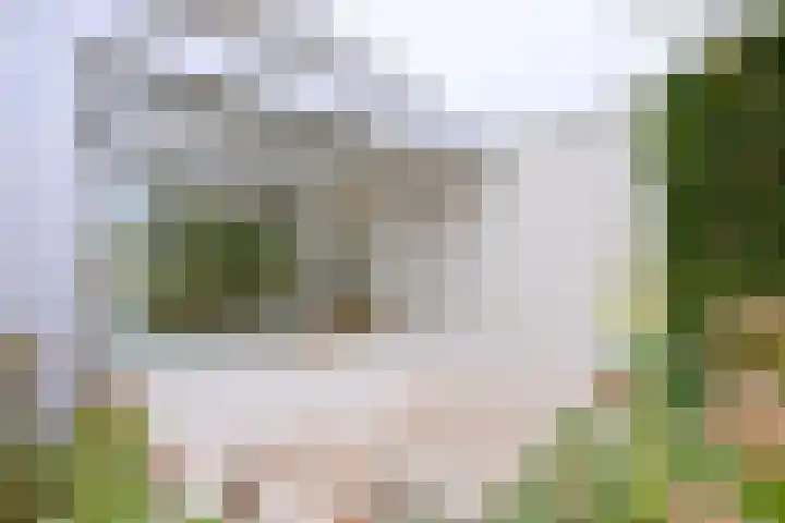 Dudokstraat 3 Deventer thumbnail 10