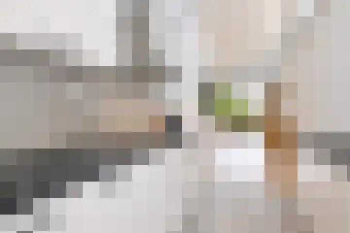 Dudokstraat 3 Deventer thumbnail 18