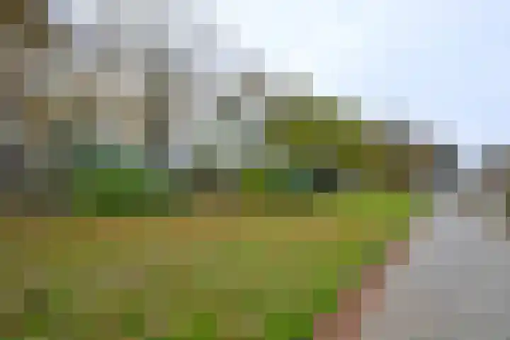 Dudokstraat 3 Deventer thumbnail 28