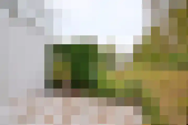 Dudokstraat 3 Deventer thumbnail 5