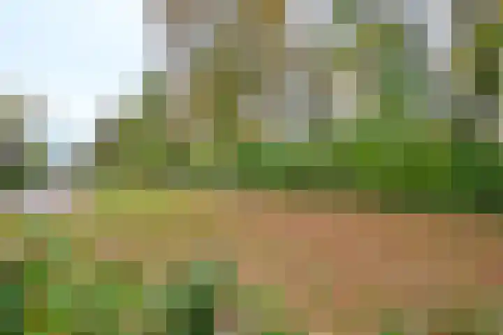 Dudokstraat 3 Deventer thumbnail 7