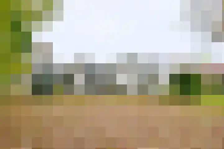 Dudokstraat 3 Deventer thumbnail 8