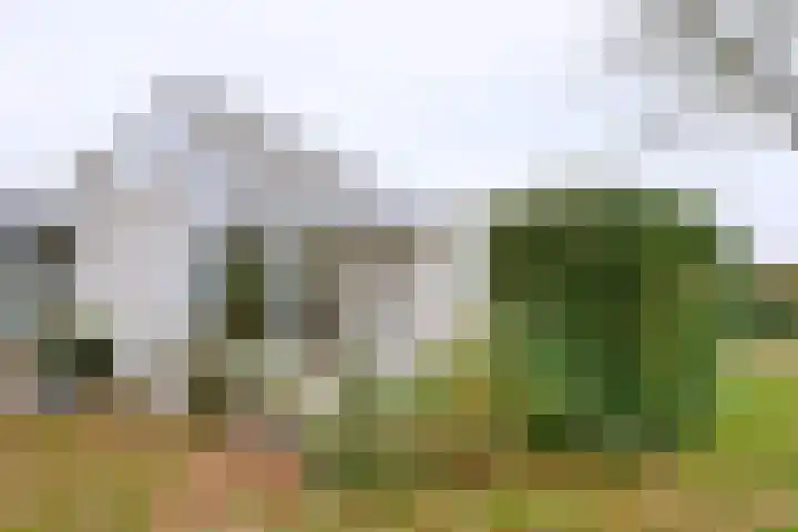 Dudokstraat 3 Deventer thumbnail 9