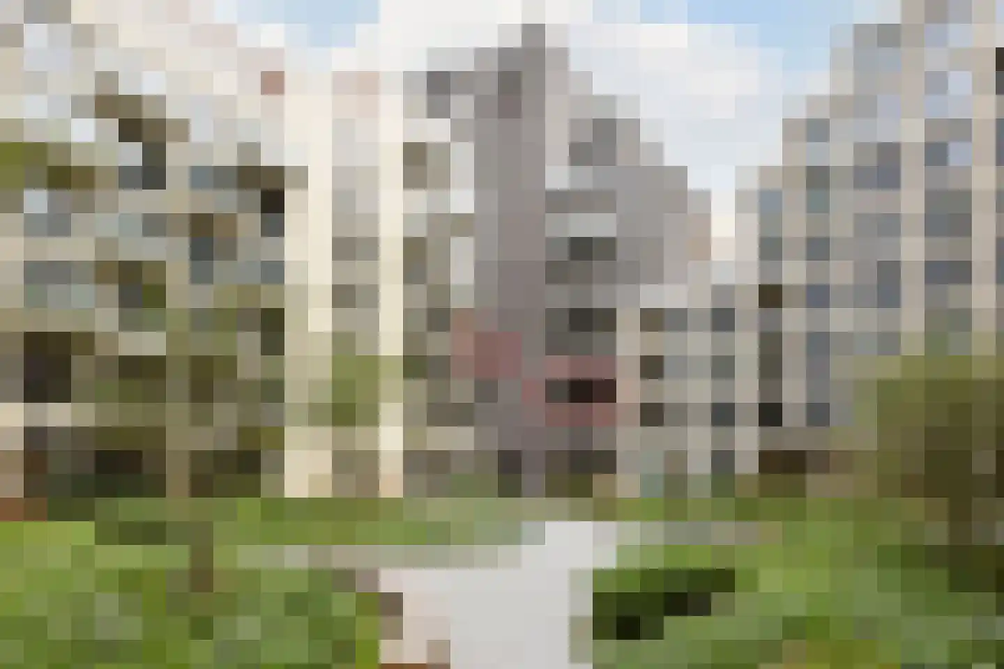 Dudokstraat 34 en Hoofddorp