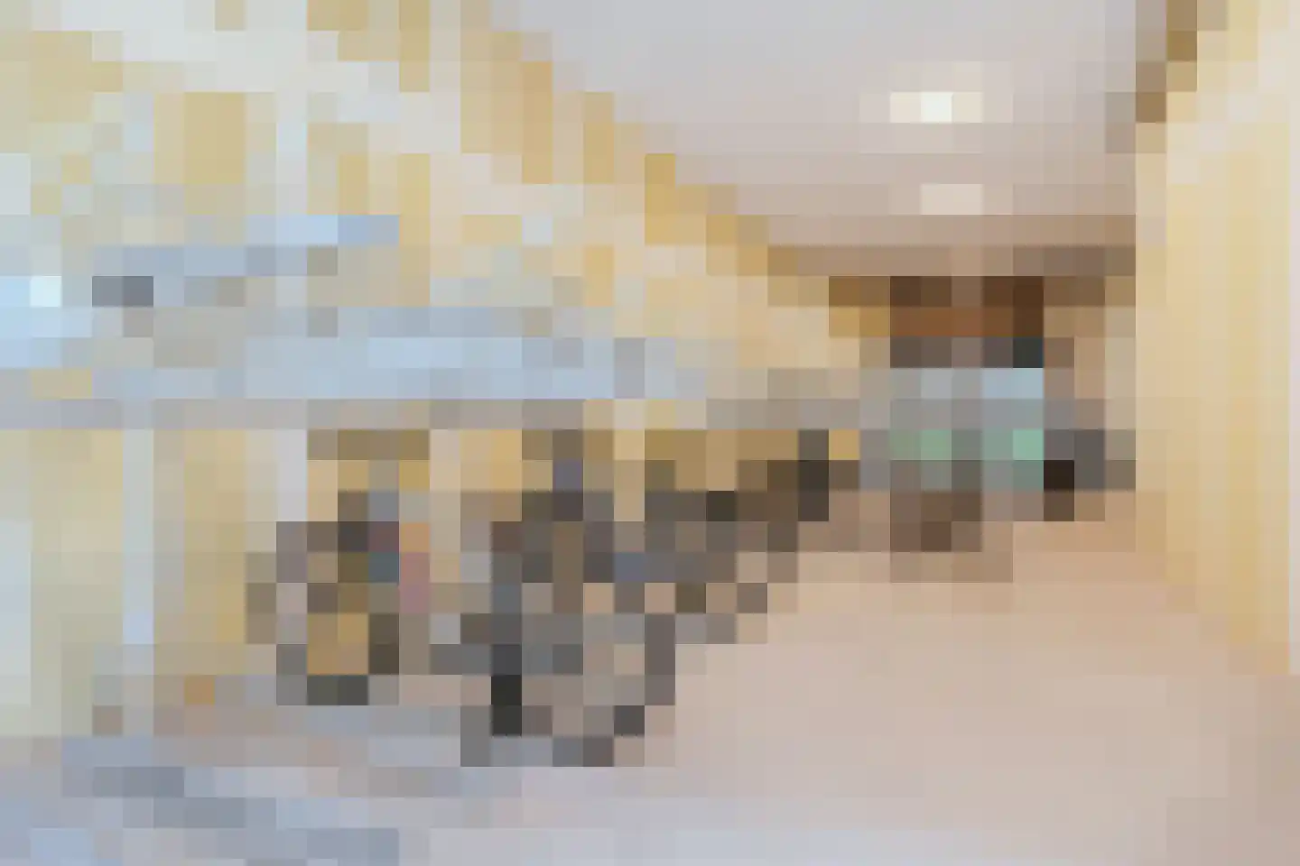 Dudokstraat 34 Hoofddorp thumbnail 16