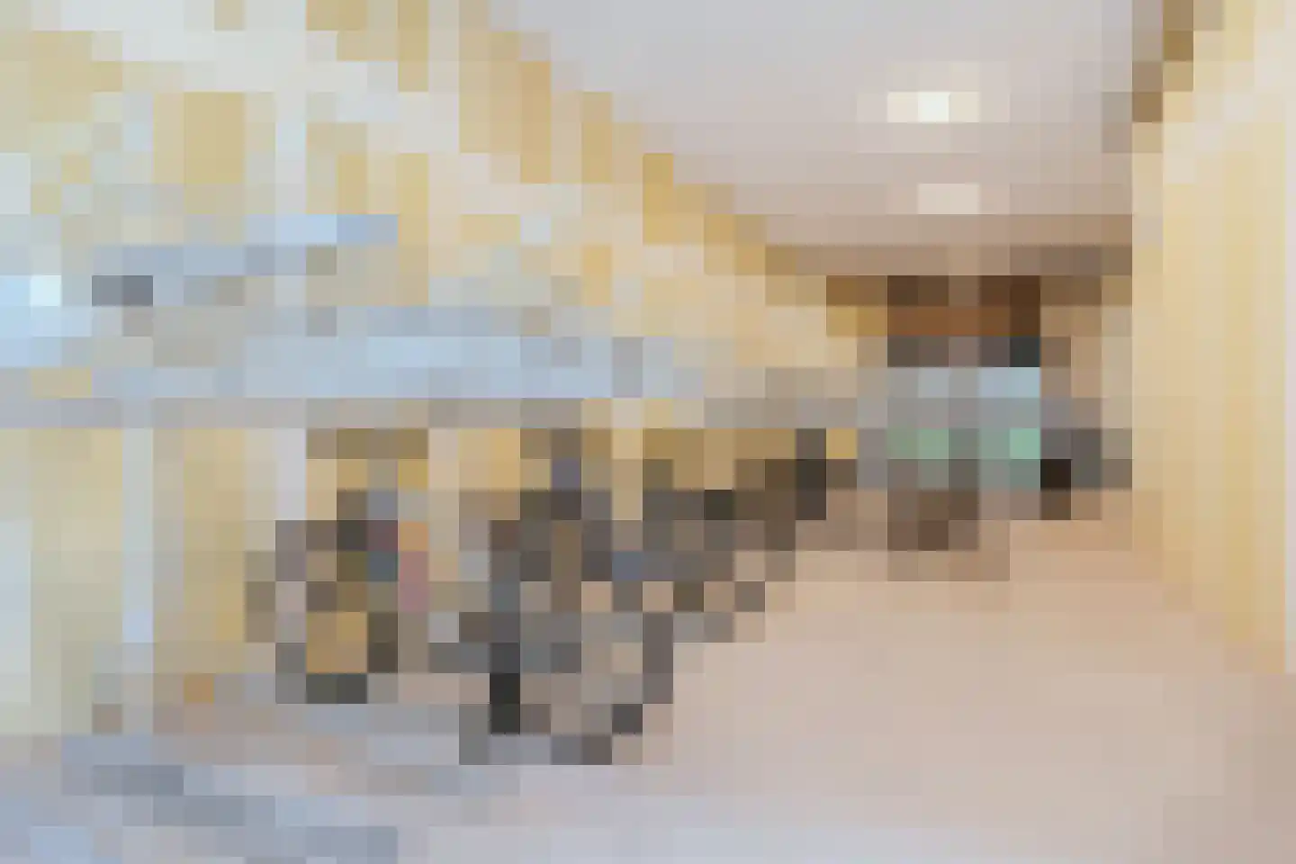 Dudokstraat 36 Hoofddorp thumbnail 20